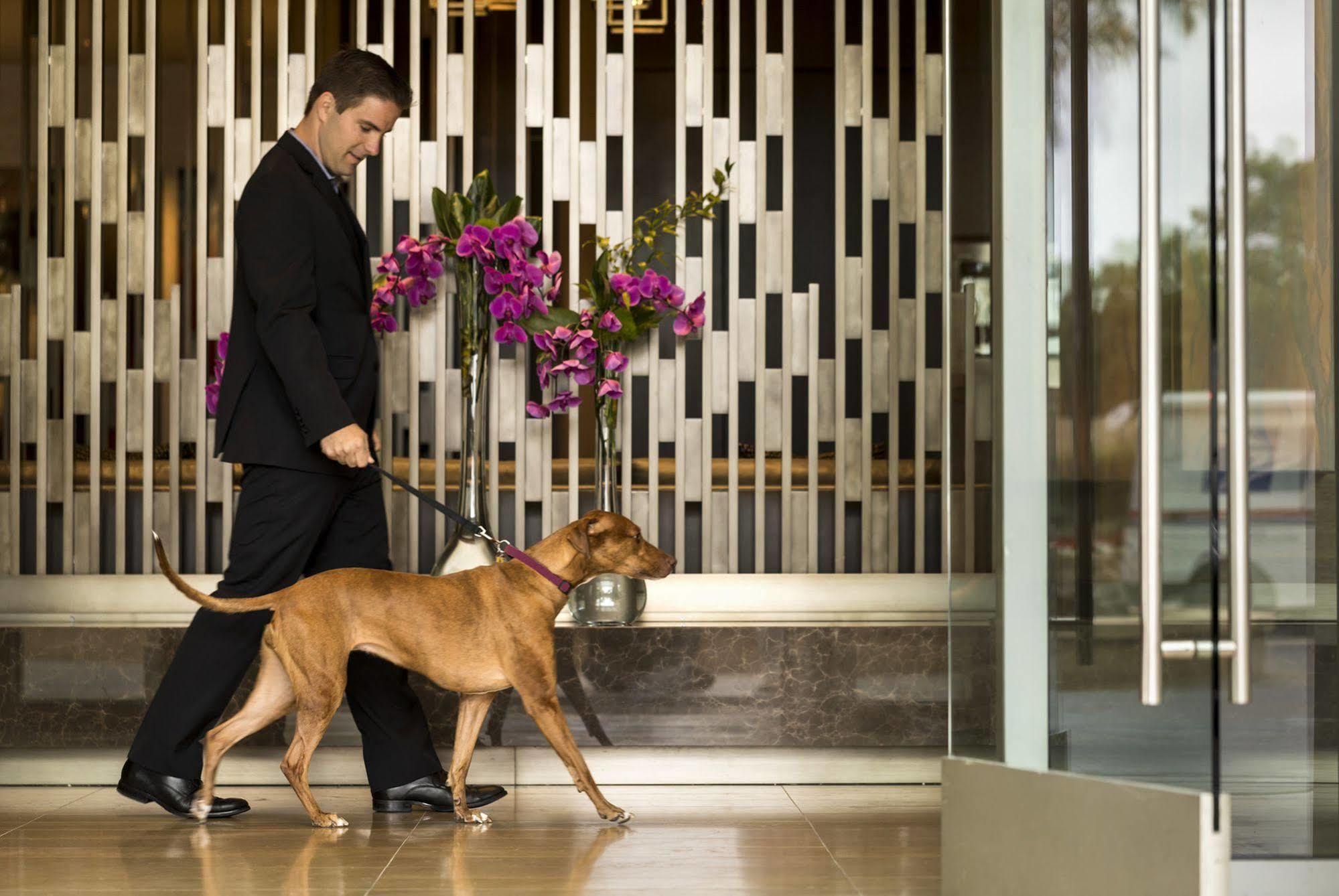 Four Seasons Hotel Silicon Valley At East Palo Alto Luaran gambar